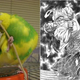 Illustration for article titled Japans Totally Looks Like Meme Is Totally Amusing
